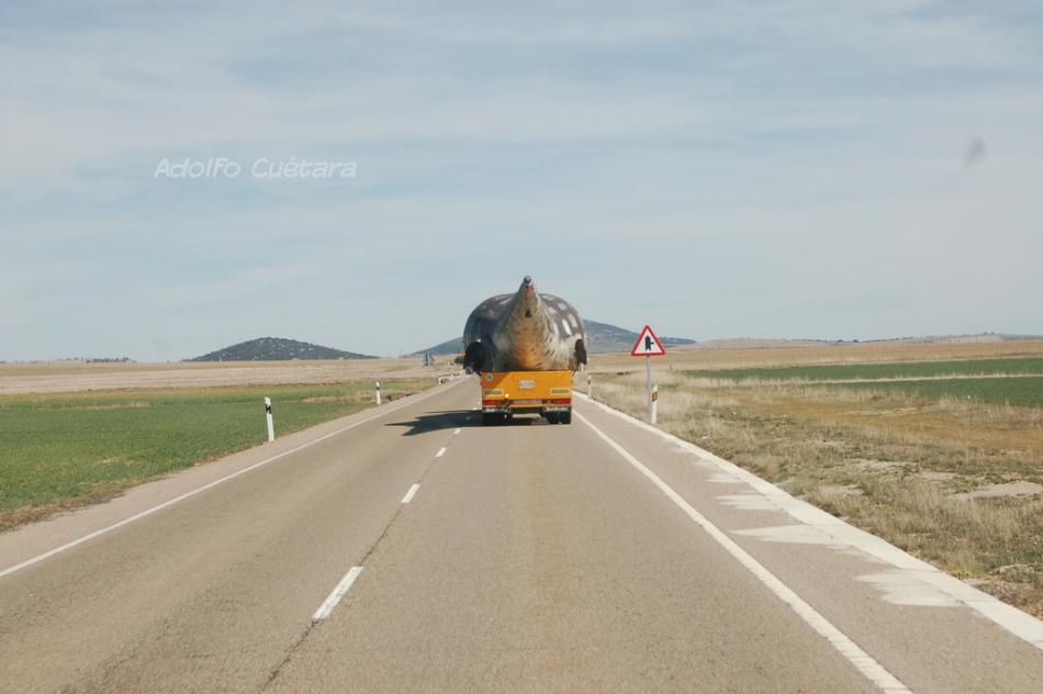 13 Seven Hundred Kilometers 