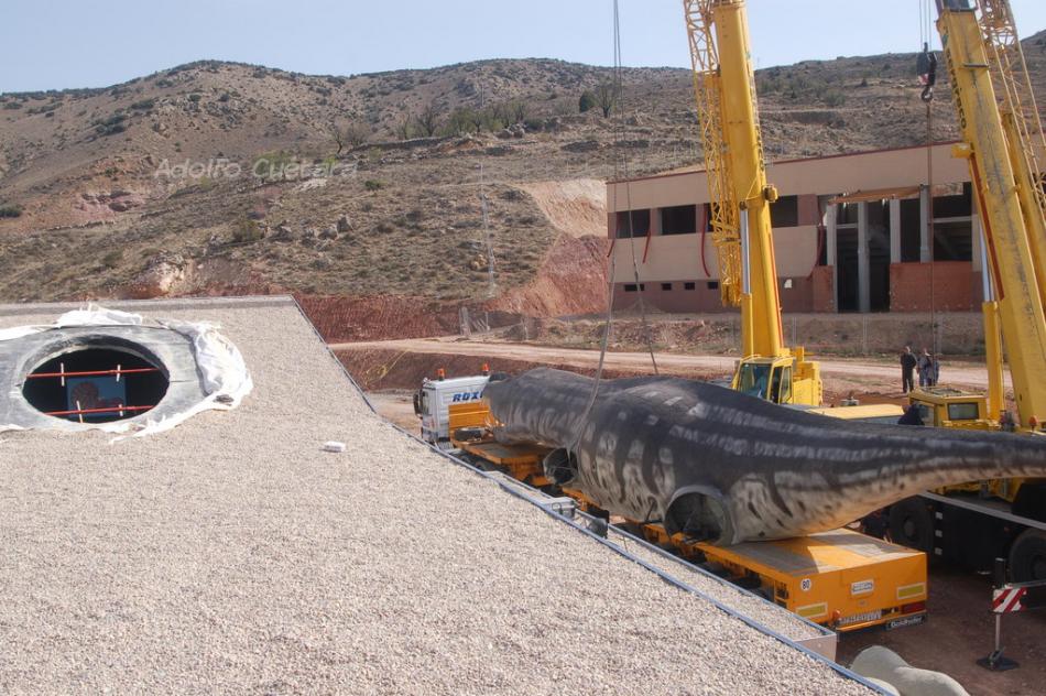 17 Ready To Place On The Roof 