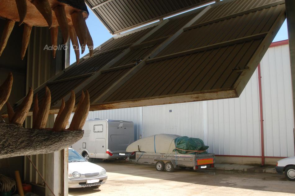 1 Time For Walking The Bug 