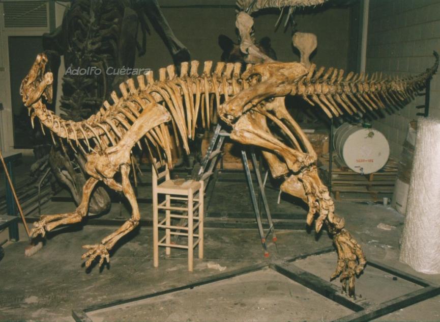 Camptosaurus workshop