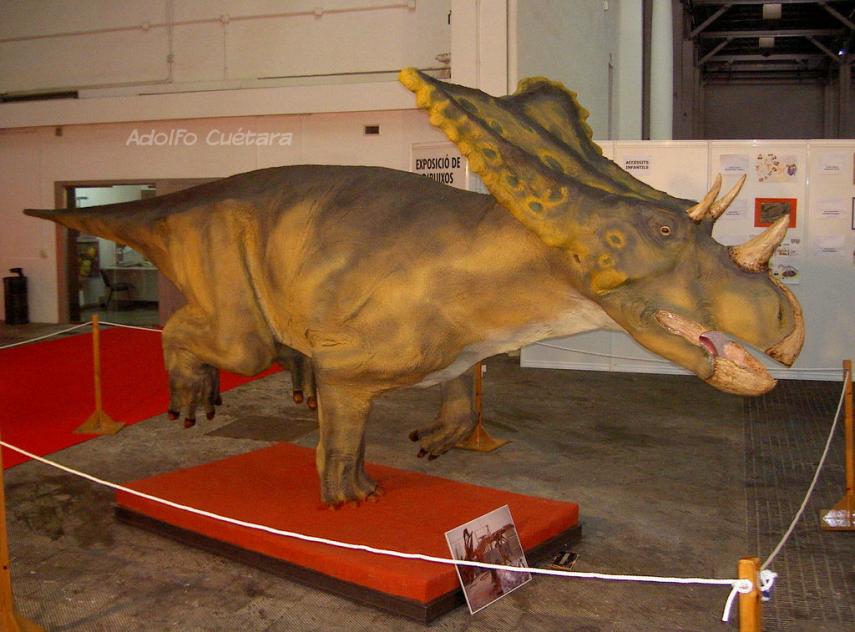 Barcelona Fossil Show