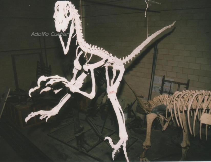 Deinonychus