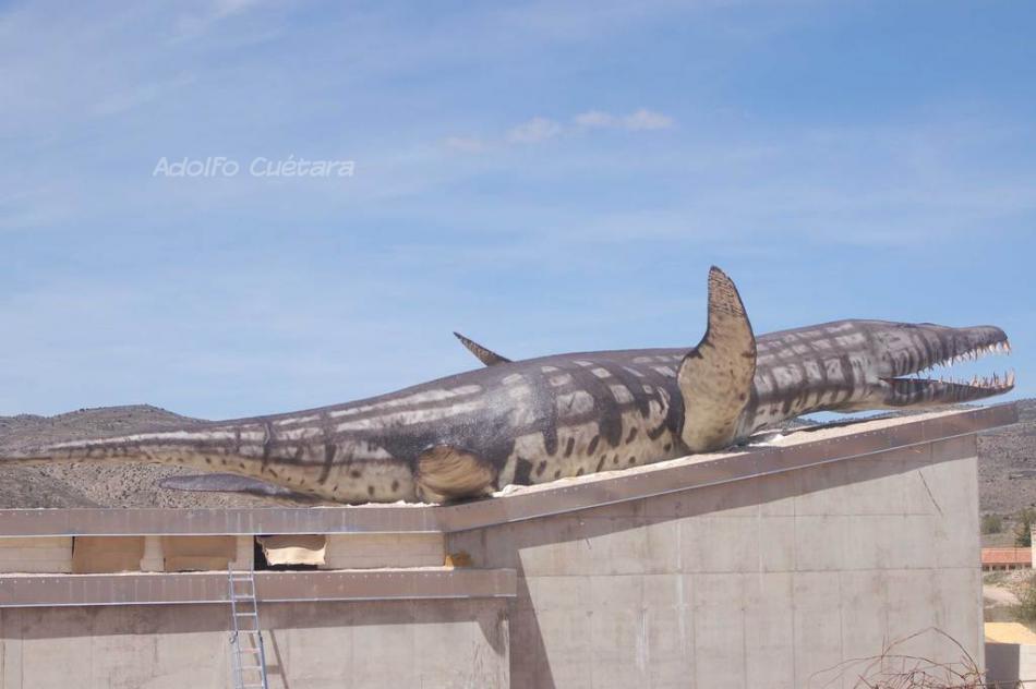 25 meters long, 12 meters wide