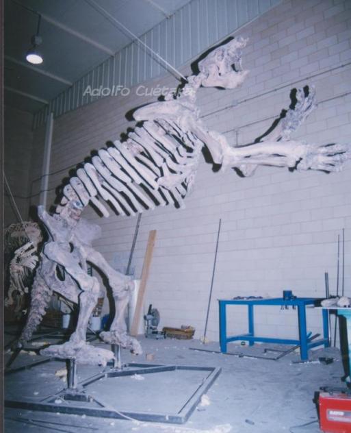 Megatherium