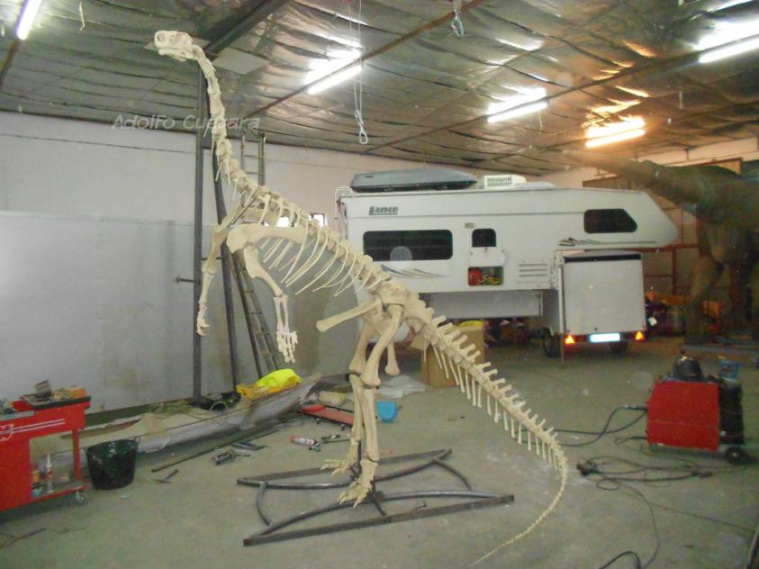 Plateosaurus Copenhague 