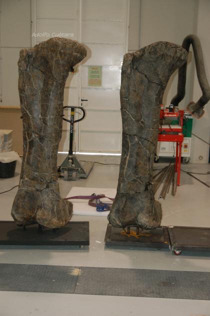 6 Original and cast finished