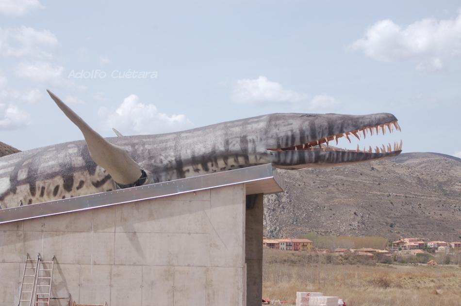 22 Putting The Head Out 