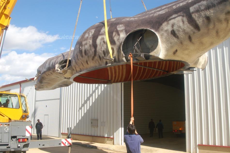 7 Five Metric Tons Weight 