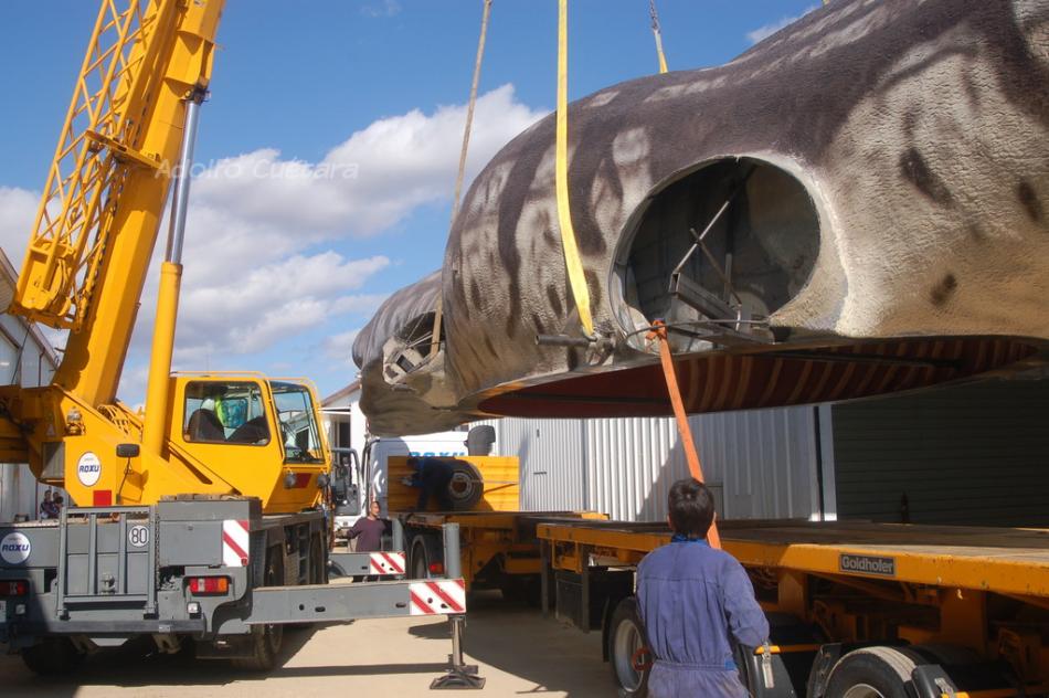 9 Six Meters Wide For Transport 