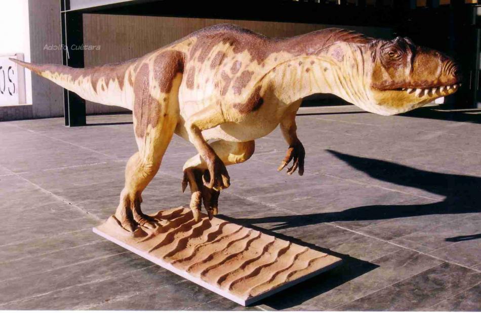 Allosaurus 1 