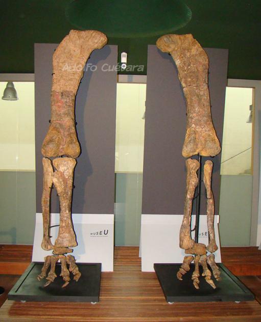 Custom made brackets