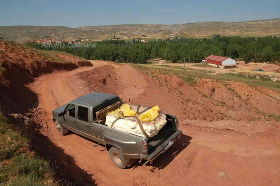 Original Track Transport 