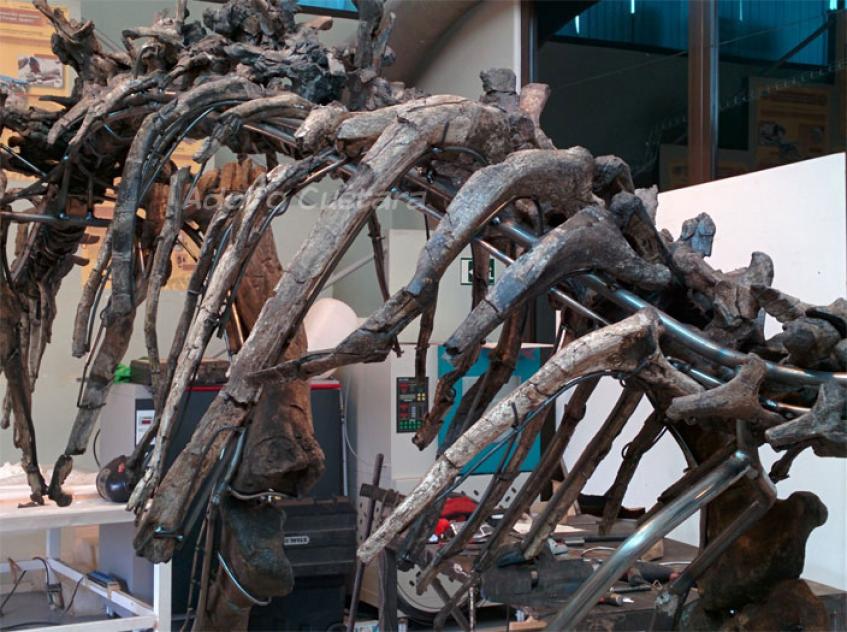 Proa-valdearinhoensis-detai 