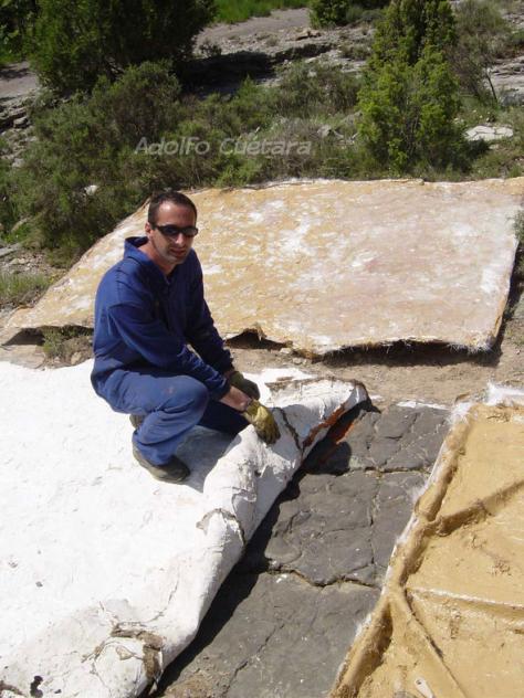 El Castellar Tracksite