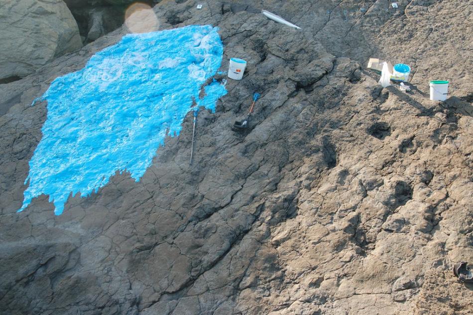 Tereñes tracksite mold