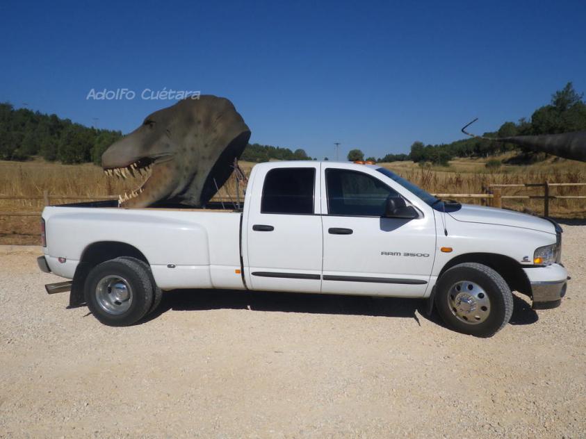 Trex, Salas de los Infantes