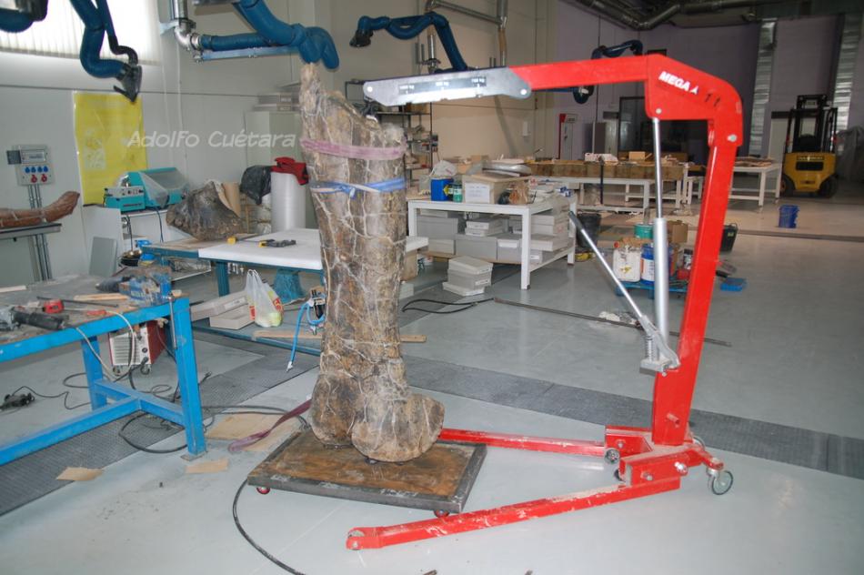 Four-piece femur assembled