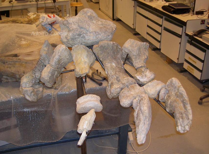 Custom made brackets